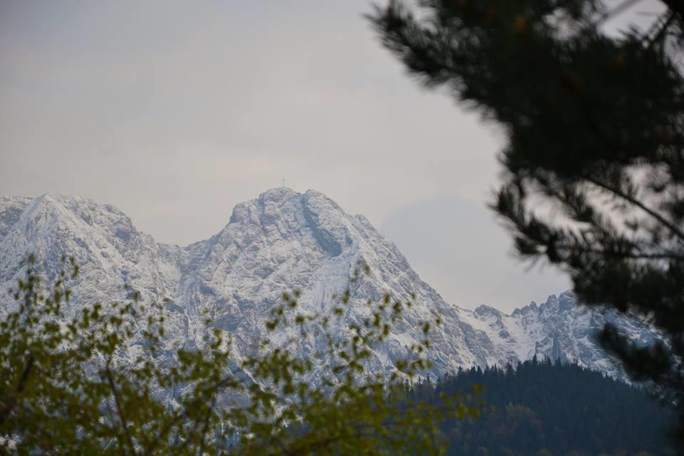 Apartament Twoj Giewont Zakopane コシチェリスコ エクステリア 写真